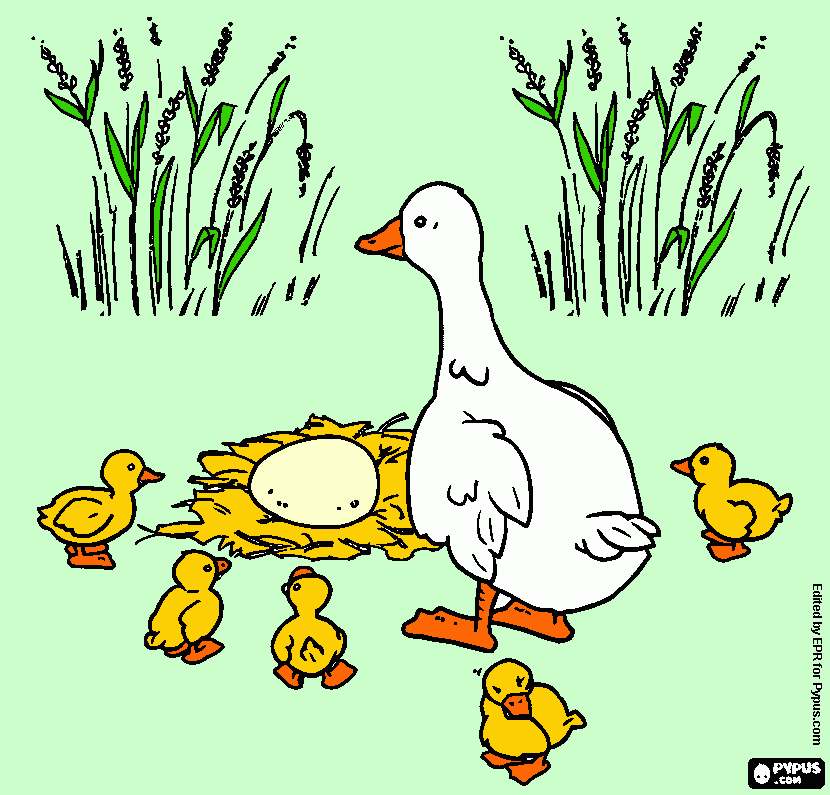 pinta patito feo