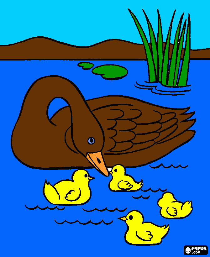 pinta patos