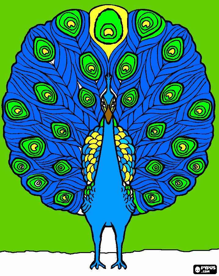 pinta pavo real