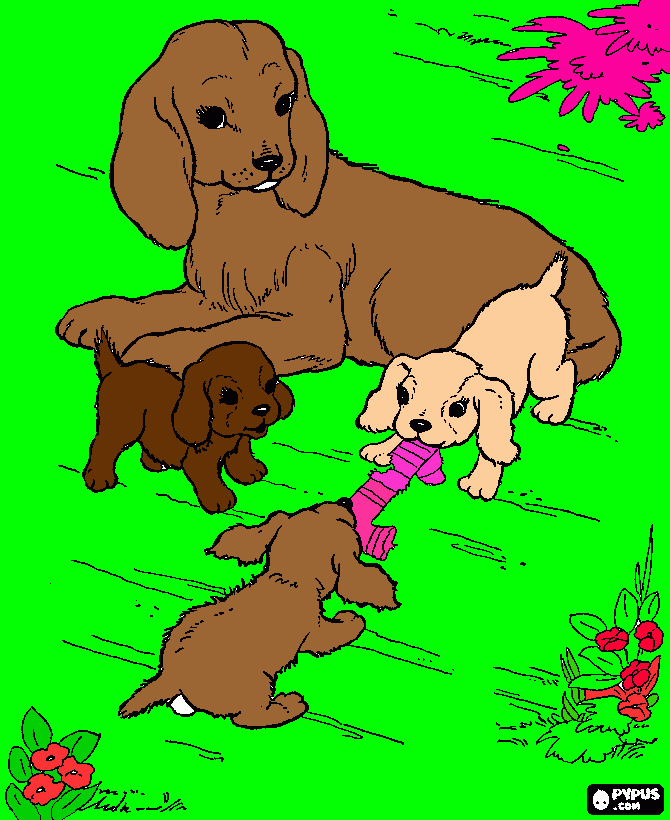 pinta Perritos