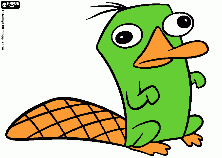 pinta Perry loritorinc