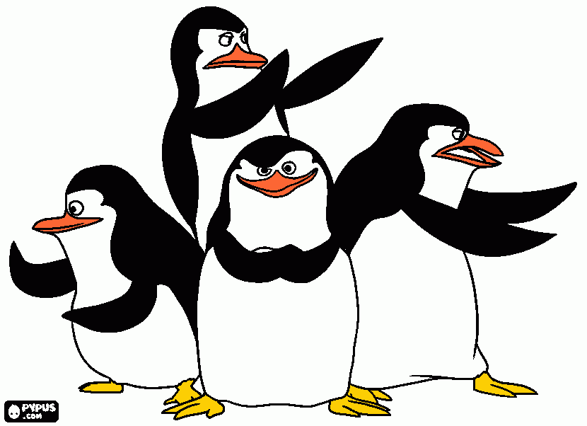 pinta pinguins