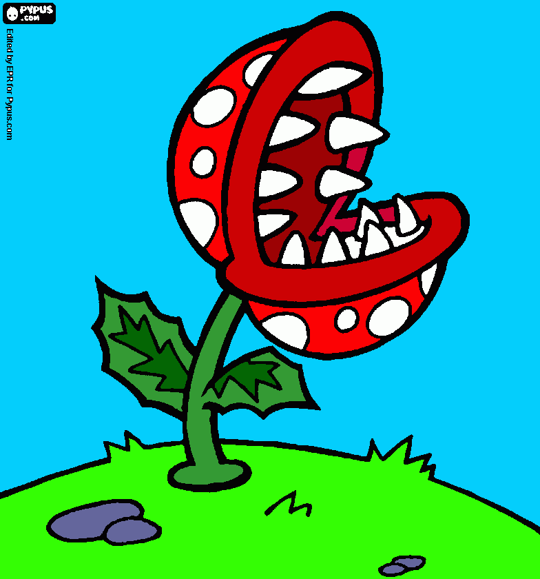 pinta planta carnibora