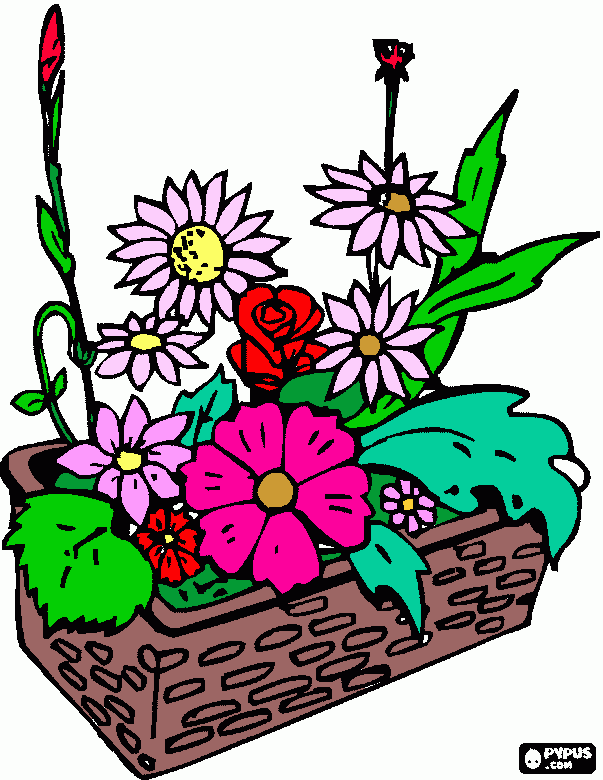 pinta pom de flors