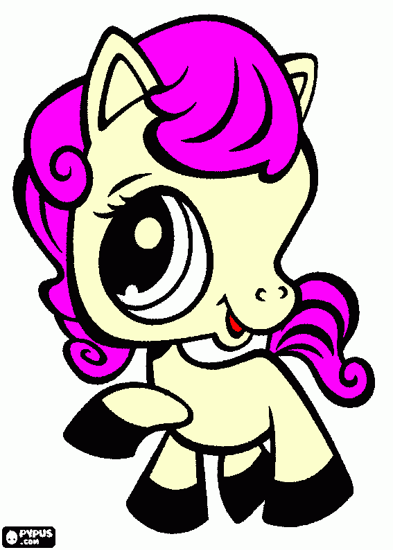 pinta poni