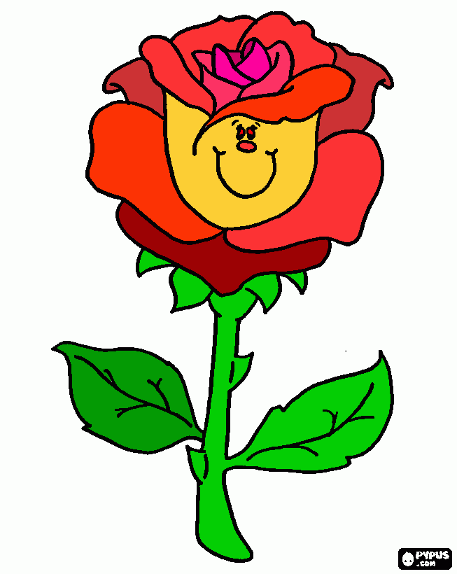 pinta rosa de sast jordi