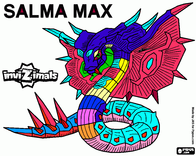 pinta salma max
