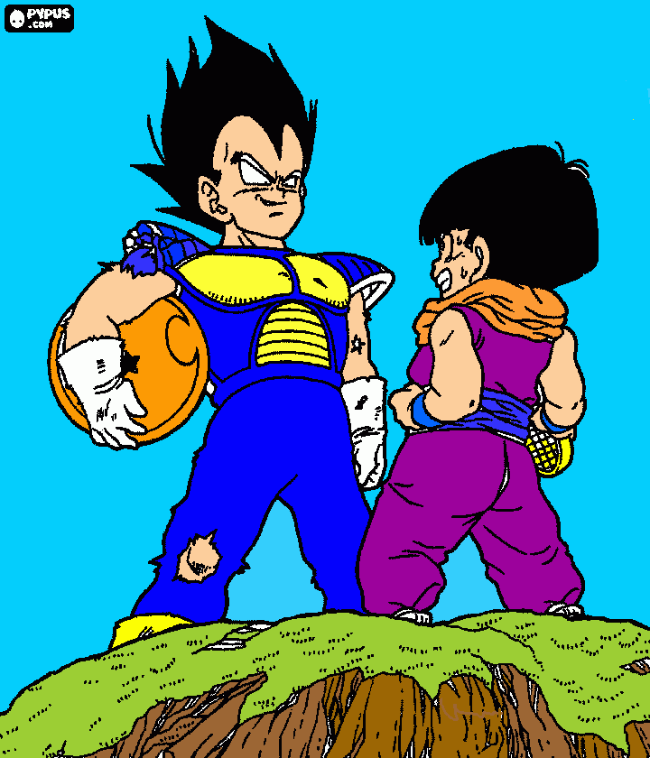pinta son-gohan i vageta