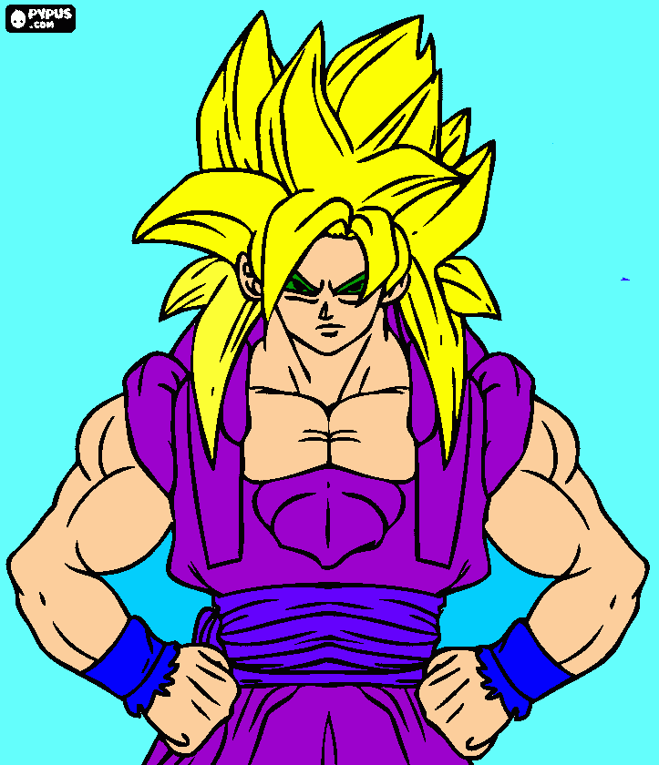 pinta songoku