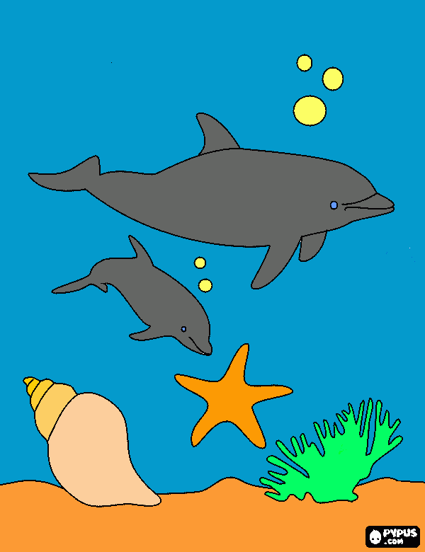 pinta sota ei mar