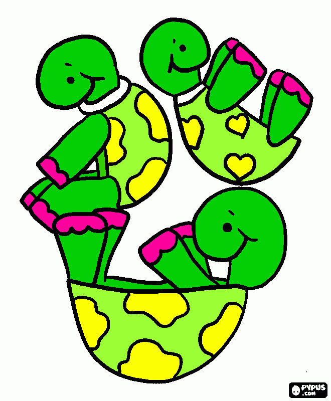 pinta tortugues