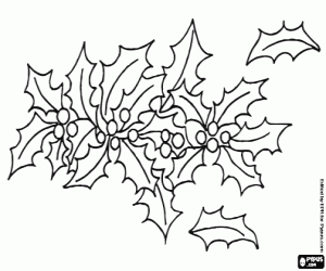 Pintar Adorn vegetal de Nadal amb grèvol