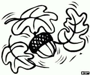 Pintar Algunes fulles de roure i un gla