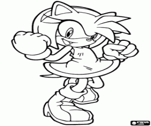 Pintar Amy Rose, un eriçó de Sonic