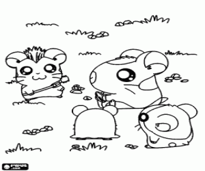 Pintar Aventures de Hamtaro i Ham-Ham