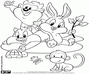 Pintar Baby Looney Tunes amb animalets