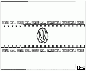 Pintar Bandera de l'Iran