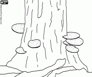 Pintar Bolets en un tronc d'arbre