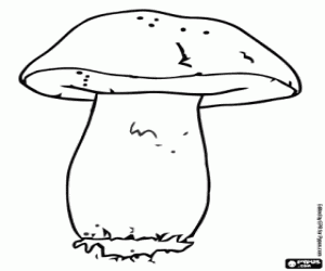 Pintar Boletus edulis, un bolet