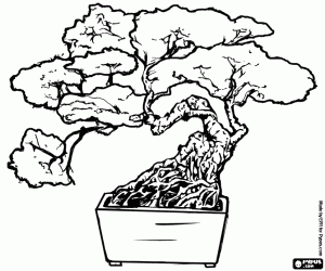Pintar El bonsai, art japonès