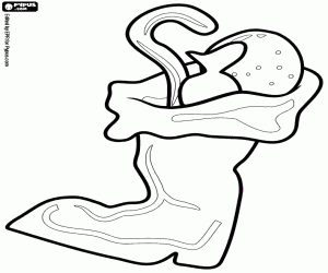 Pintar Bota de Pare Noel amb regals