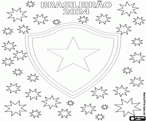 Pintar Botafogo, Brasileirão 2024