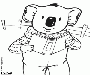 Pintar Buster el koala llegeix un llibre