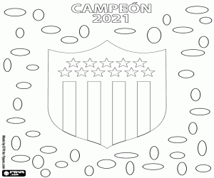 Pintar CA Peñarol Montevideo, campió 2021