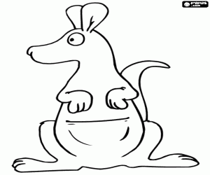 Pintar Un cangur, vist des de davant