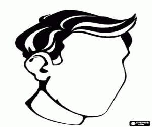 Pintar Cap d'home sense trets facials