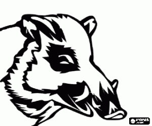 Pintar Cap de senglar amb ullals