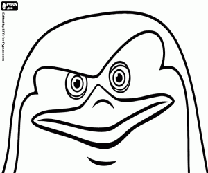 Pintar La cara del Skipper