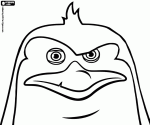 Pintar Cara de Rico, pingüí pentinat