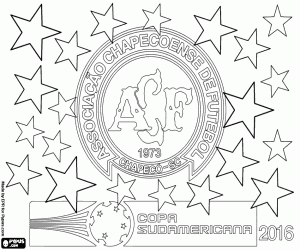 Pintar Chapecoense, Copa Sudamericana 2016