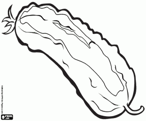 Pintar El cogombre és molt hidratant