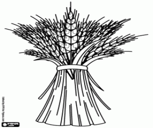 Pintar La collita dels cereals, el blat