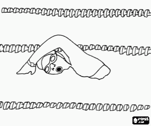 Pintar Una competició de natació