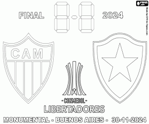 Pintar Copa Libertadores, final 2024