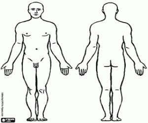 Pintar El cos d'un home