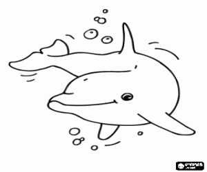 Pintar Dofí content al mar