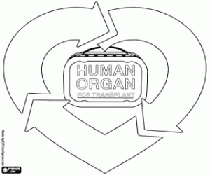 Pintar Donació i trasplantament d'òrgans