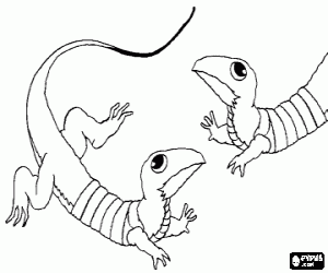 Pintar Dos llangardaixos cara a cara