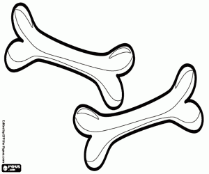 Pintar Dos ossos pel gosset