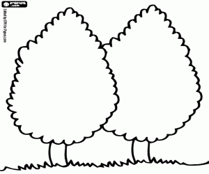 Pintar Dos xiprers, Cupressus