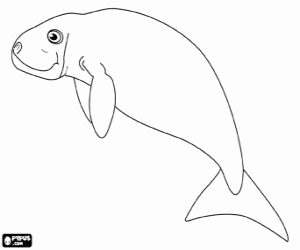 Pintar Dugong, un animal de l'oceà Índic