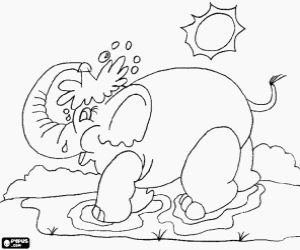 Pintar La dutxa de l'elefant