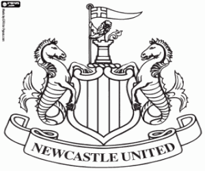 Pintar Emblema del Newcastle United