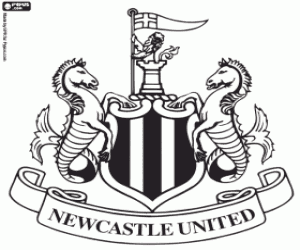 Pintar Escut del Newcastle United