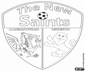 Pintar Escut de The New Saints FC