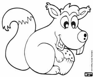 Pintar Esquirol i un gla